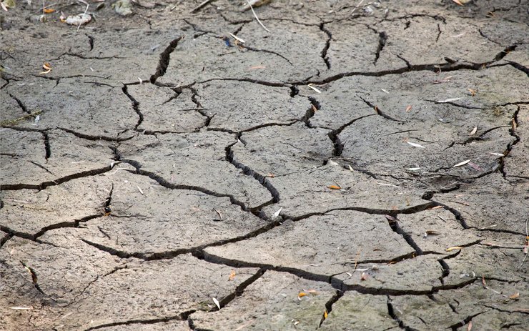 Крым, пруд, земля, засуха в Крыму, фото