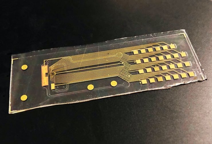 Устройство для контроля роста стволовых клеток. (Фото: UCSC)