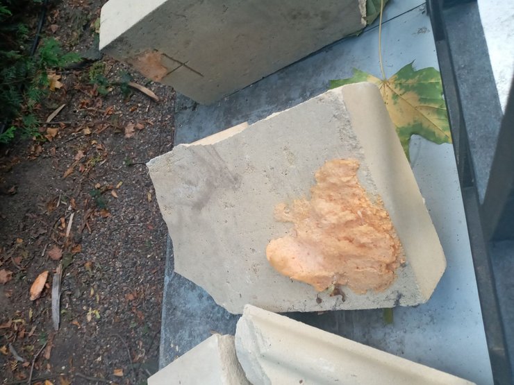 мариинский, дворец, киев, забор