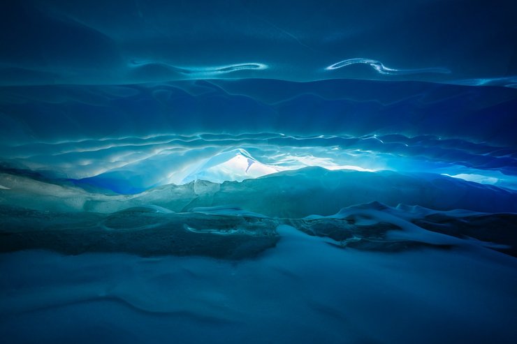 життя в антарктиді