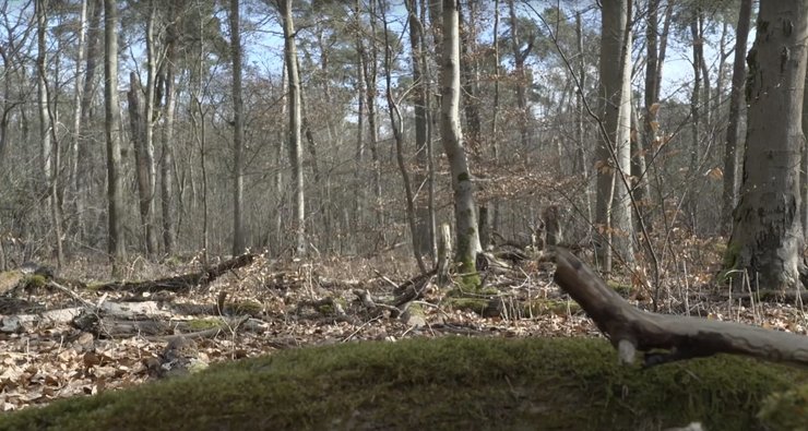 Місце, де знайшли тіло 19-річної українки