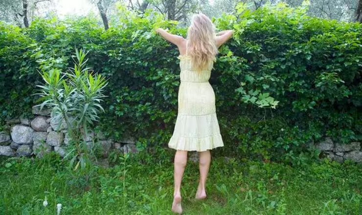 Спор соседей