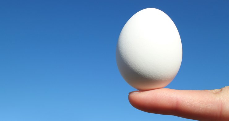 куриное яйцо, яйцо, эксперимент с яйцом, яйцо приметы
