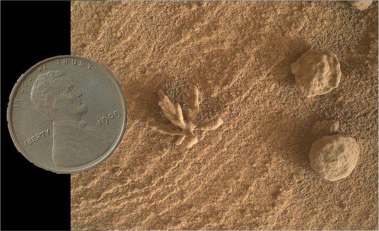 монета, цветок, Марс, поверхность, фото