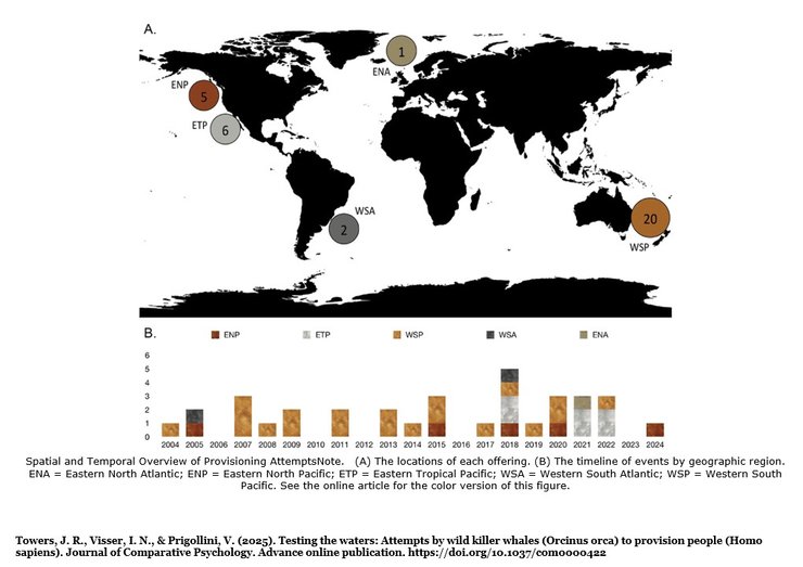 На инфографике показано 34 случая, когда косатки делились пищей