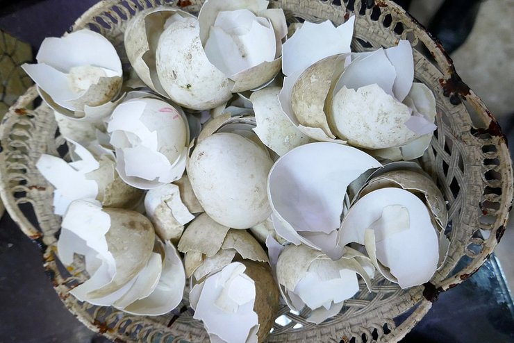 история, затонувшие корабли, древние люди, корабль, судно