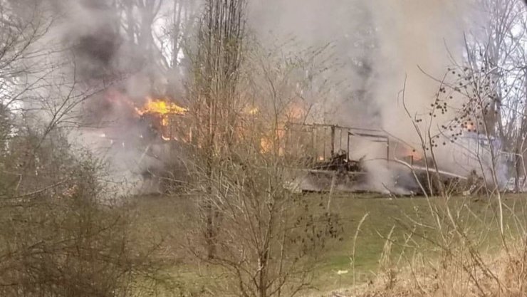 пожар, попугай, сша, теннесси