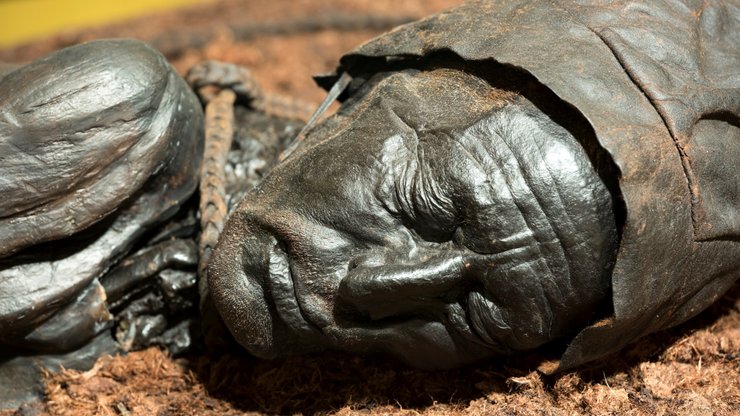 Людина з Толлунда