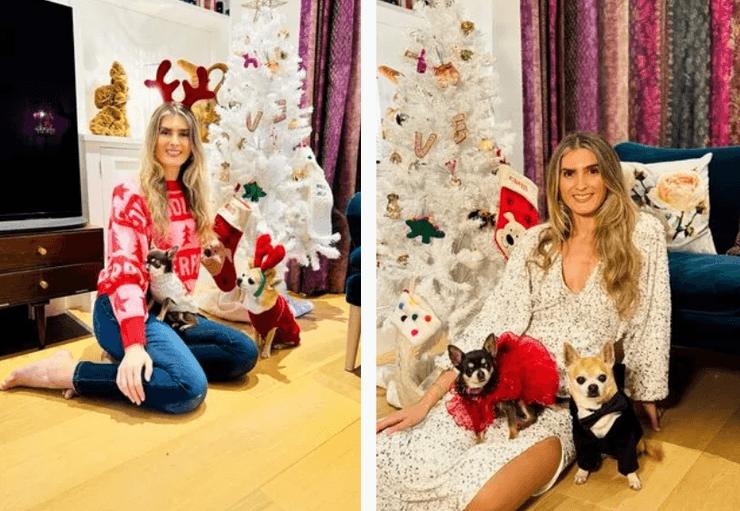 женщина, чихуахуа, собаки, елка