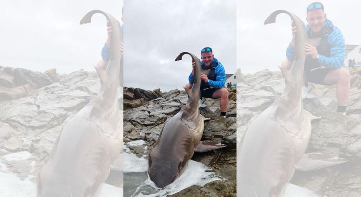 Чоловік показав наслідки нападу 140-кілограмової акули, хижачка вдала, що мертва, й атакувала його