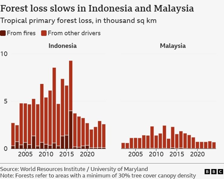потеря лесов малайзия