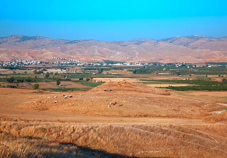 археологія, одяг, дослідження, древні люди