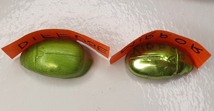 Жук, тьмяний, блискучий, модель, теорія