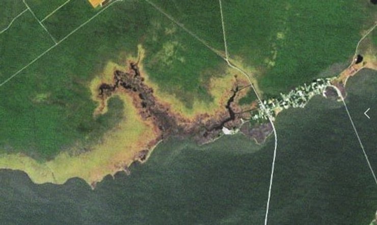 лес призрак каролина