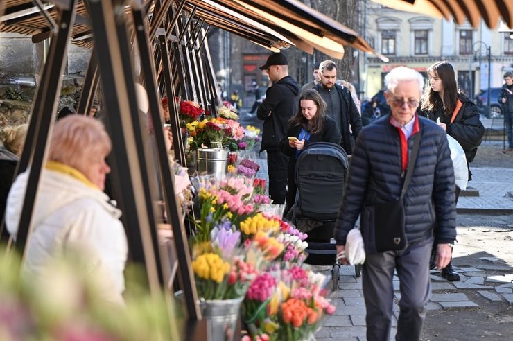 цветы тюльпаны продажа