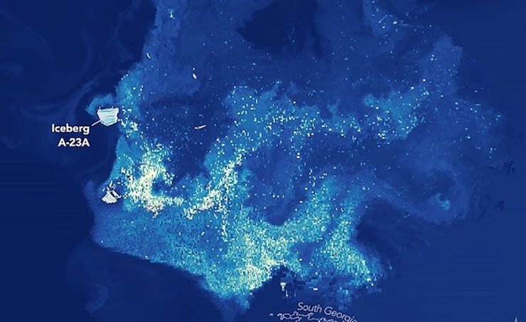 По мере того как айсберг двигался по более теплым водам, богатая железом талая вода подпитывала цветение фитопланктона