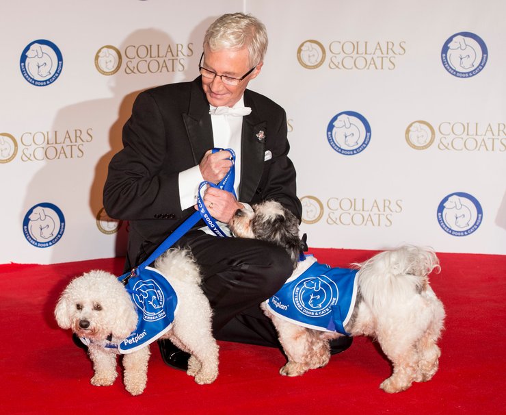 Пол О'Грейді, телеведучий, собаки