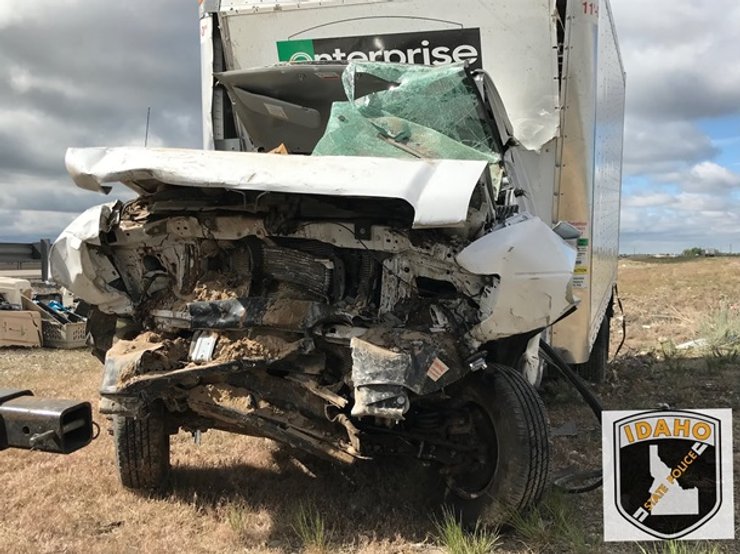 ДТП, США, собаки