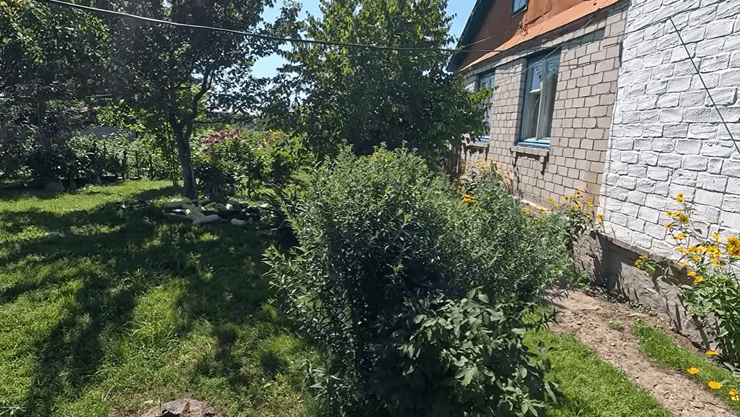 Будинок у глухому поліському селі, двір