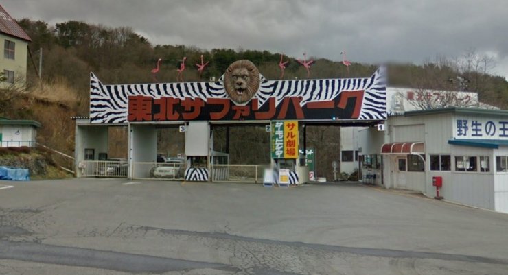 Зоопарк у Японії