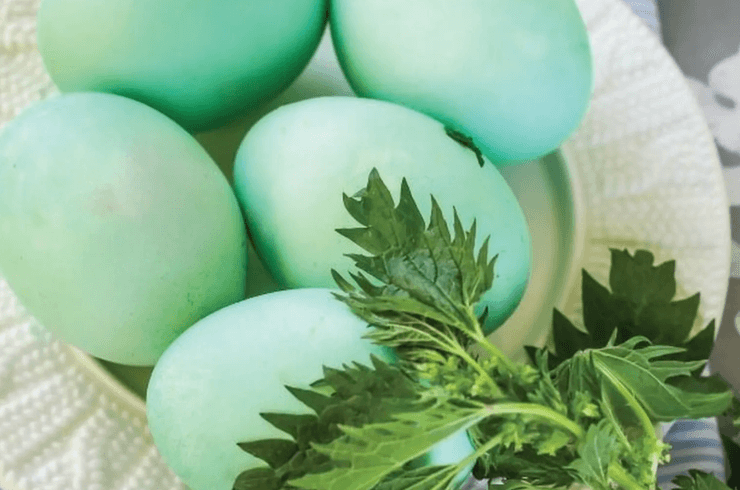 Як пофарбувати яйця без штучних барвників до Великодня, Вербна неділя, свята, традиції, звичаї, лайфхаки