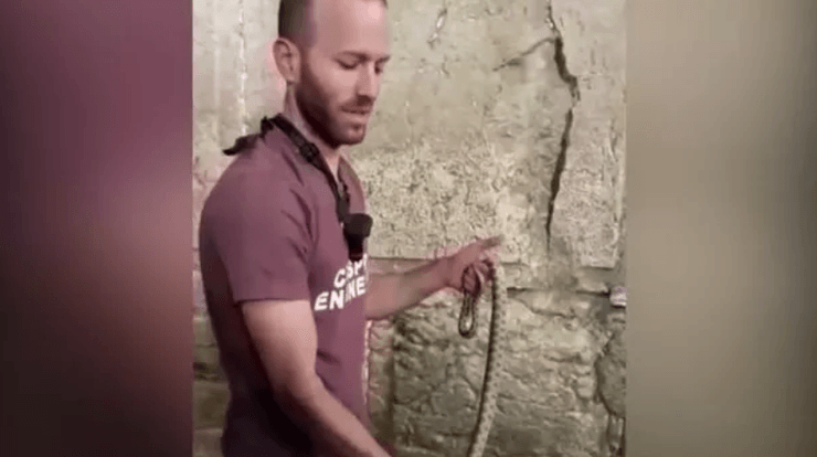 змія на Стіні плачу