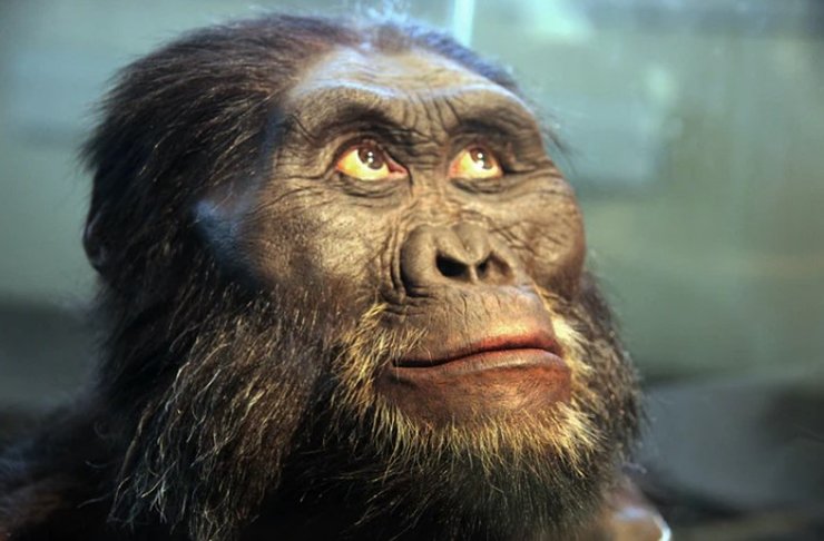 Древний человек