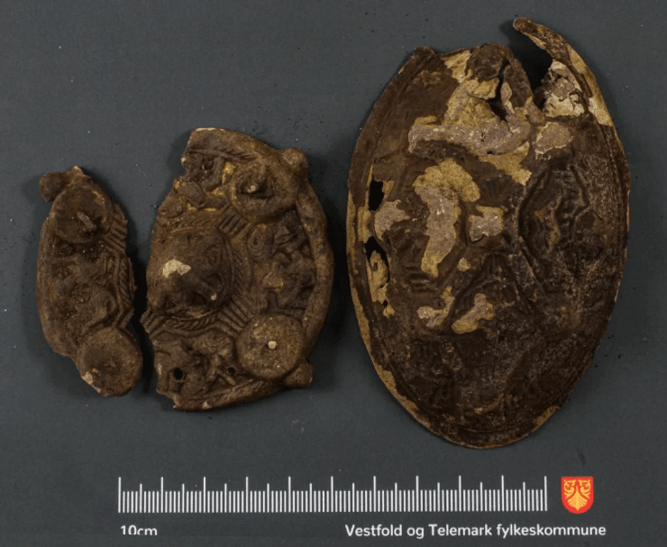 артефакт, вікінги, Норвегія, металошукач, знахідка, скарб, археологи, поховання, сім’я, золото, сережка, історія, наука, відкриття