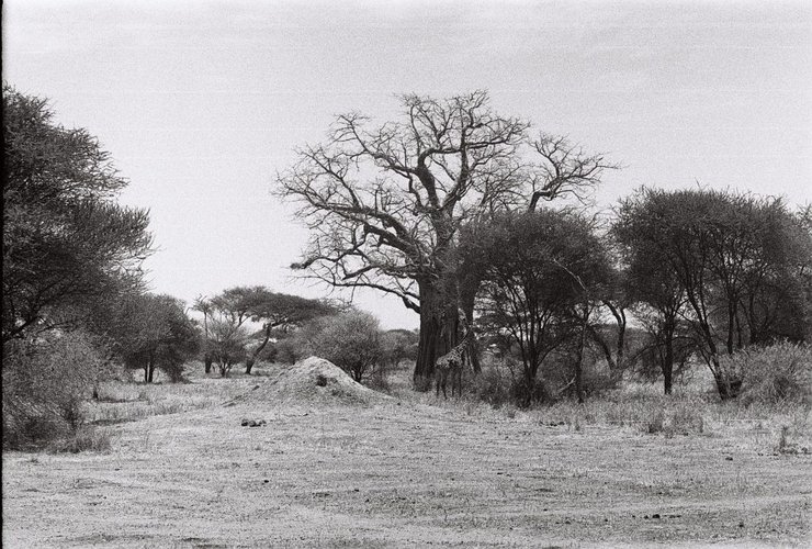 фотоконкурс