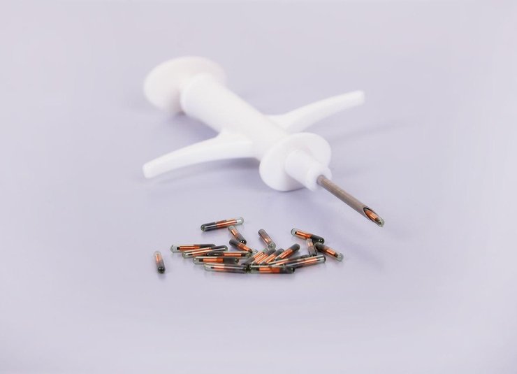 чипирование, регистрация животных, закон