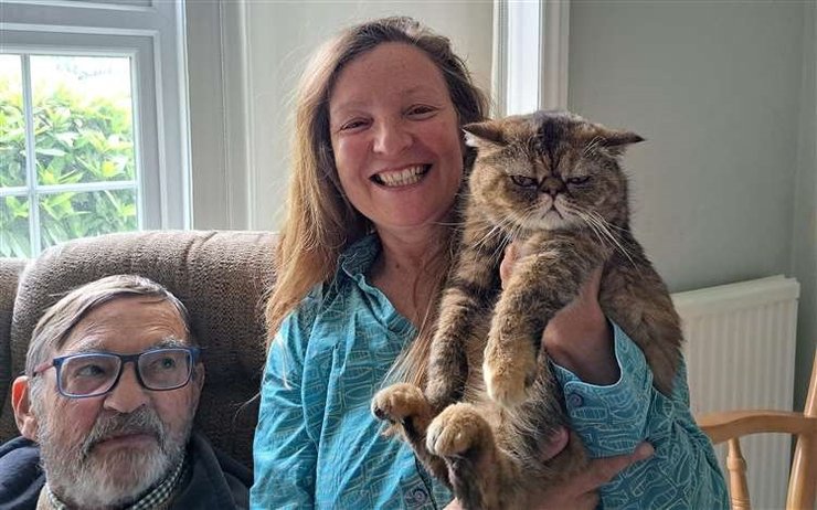 кошка, пропала кошка, кошка выжила, кошка лея