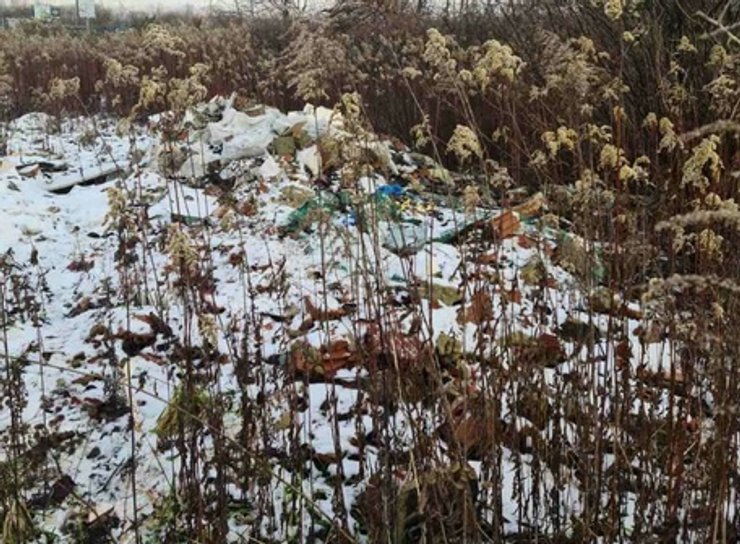 Львов,  стихийная свалка, полиция, отходы, свалка