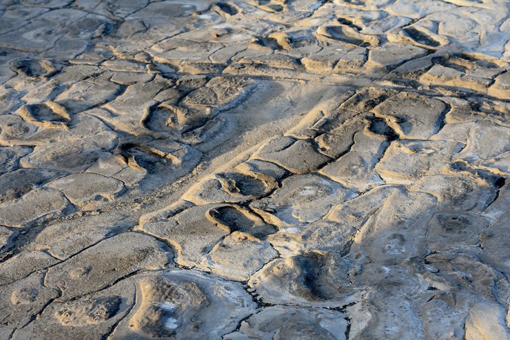 отпечатки ног, озеро Натрон, отпечатки в глине, следы ног