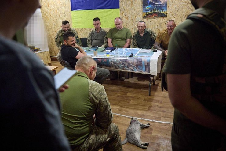 ермак, зеленский, кот