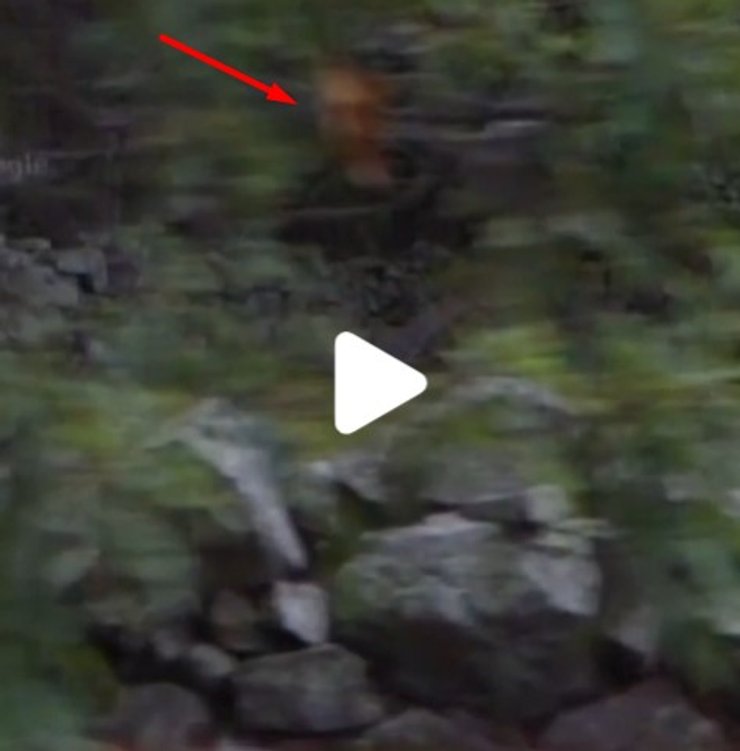 Призрак на кладбище, курьез, призрак на фото, призрак Google maps