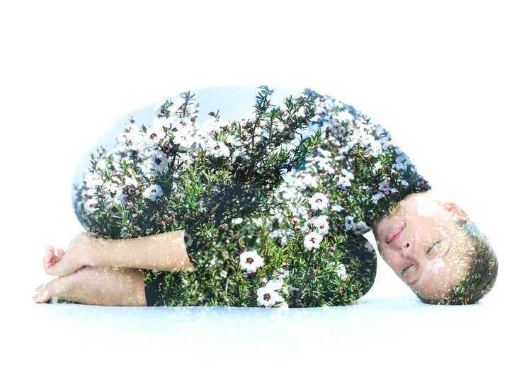 Схуднення та дієти 2022