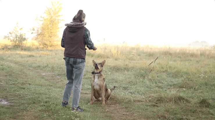 Юлія з собакою