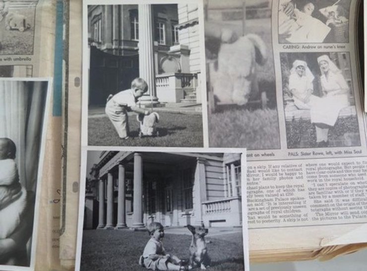 король чарльз, принц чарльз, маленький король чарльз, король чарльз в детстве, принц эндрю