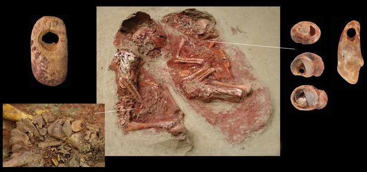 Все фото: Natural History Museum Vienna