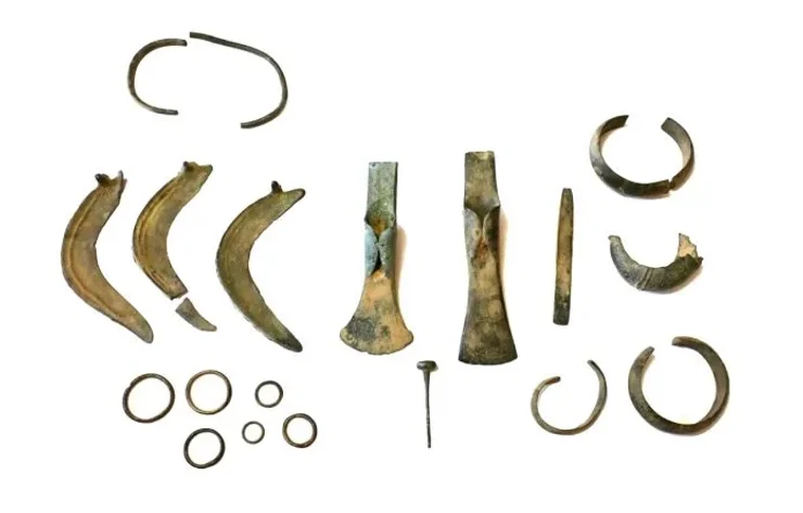 археологи, археология, раскопки, находка, артефакт, клад, бронза, серп, топор, поисковики, Польша, ценность, культура, воеводство, железный век, бронзовый век