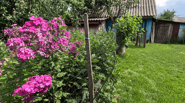 Будинок у глухому поліському селі, двір