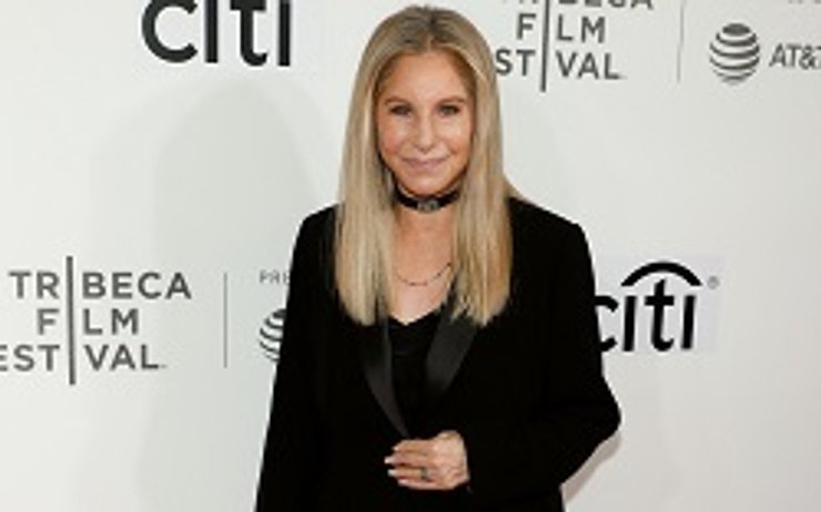   "Успех — это когда у тебя есть десять дынь, и ты откусываешь только верхушку от каждого кусочка" Барбра Стрейзанд, американская певица и актриса 