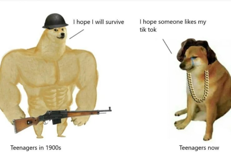 мем, Доге, Чимс