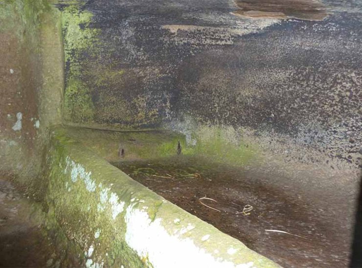 історія, археологія, древні люди, гробниця, поховання