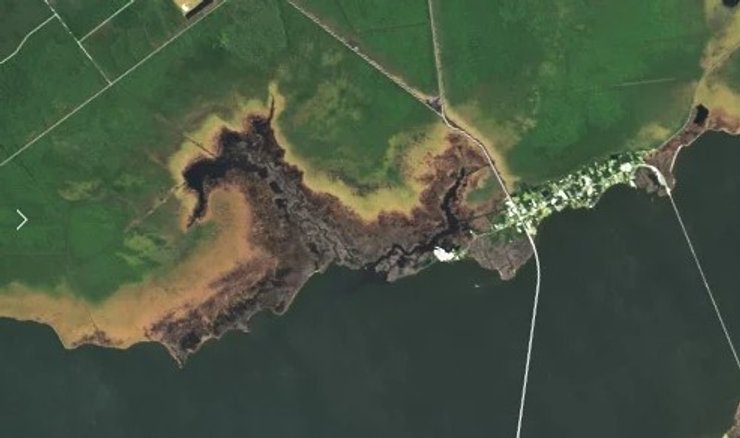 Леса-призраки в Северной Каролине в 2024 году