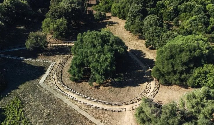 олива греция сардиния