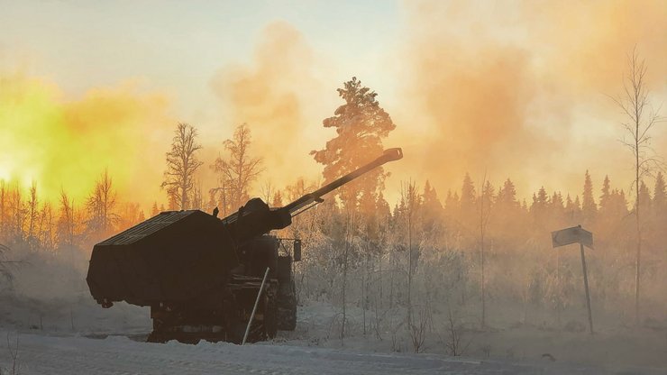 сау в снегу