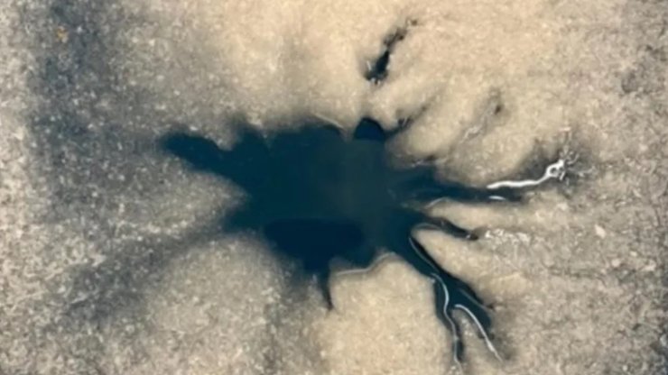 Європа павук