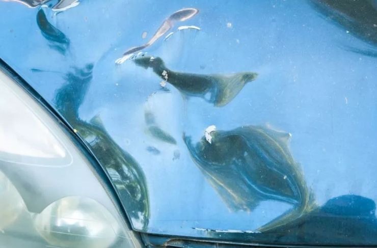 Мужчина увидел на капоте своего авто отпечаток кота, потом он нашел записку и узнал, что произошло ночью