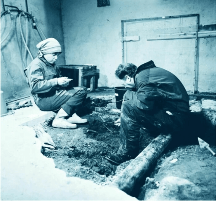 останки медведя, исследование